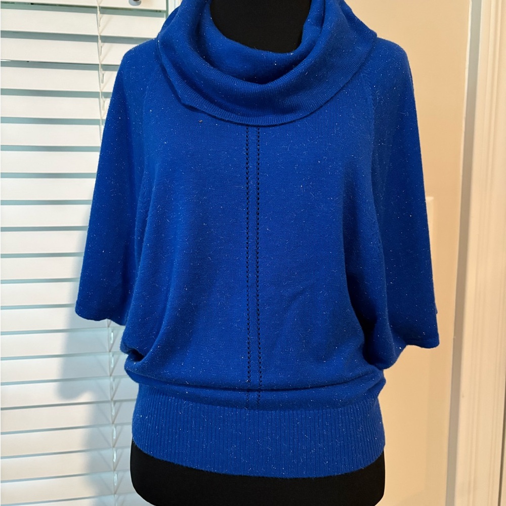 Elegant Blue Cowl Neck Sweater with Dolman Sleeves